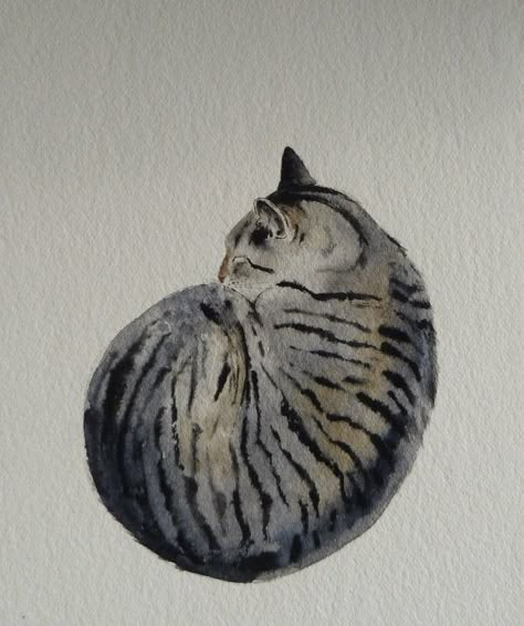 Curled Cat Tattoo, Curled Cat Drawing, Cats Watercolor Paintings, Kay Mcdonagh, Cat Curled Up Drawing, Watercolour Cats Painting, Cat Water Colour Paintings, Tabby Cat Illustration, Watercolour Cats