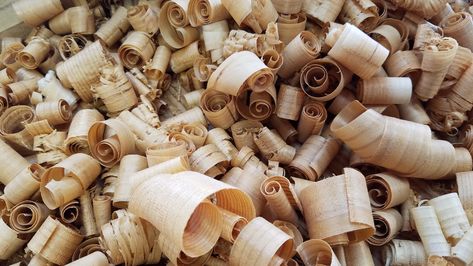 The smell of fresh western red cedar wood shavings is awesome. #westernredcedar #woodworking #wood Perfume Notes, Wood Illustration, Wood Shavings, Red Cedar Wood, Wood Chips, Wood Project, Woodworking Wood, Cedar Wood, Western Red Cedar