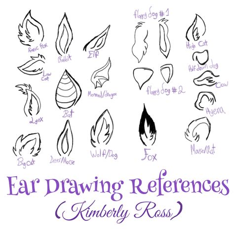 Drawing References For Ears. Fantasy Ear Drawing, Animals Ears Drawing, How To Draw Ears Animals, Ears Drawing Animals, Types Of Ears Drawing, Different Types Of Ears Drawing, Oc With Animal Ears, Animal Ear Drawing Reference, Animal Ear Reference