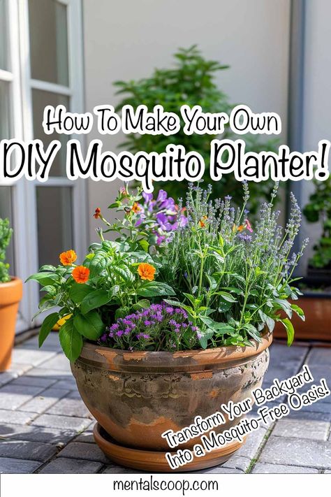 How To Make Your Own DIY Mosquito Planter! - Mental Scoop Mosquito Repelling Planter Ideas, Mosquito Repelling Planters Patio, Diy Mosquito Repellent Planter, Anti Bug Plants, How To Repel Mosquitos Outside, Bug Repellent Planter Ideas, Mosquito Free Backyard, Misquote Repellent Potted Plants, Plants For Mosquito Repellant