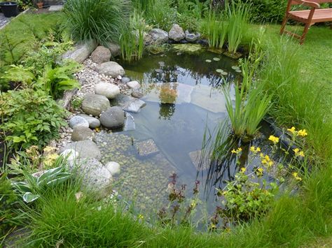 Wildlife pond - one year on..... - Shell'sDuck - My gallery - The RSPB Community Small Water Gardens, Wildlife Pond, Ponds For Small Gardens, Bog Garden, Garden Pond Design, Small Pond, Fountains Backyard, Pond Water Features, Natural Pond