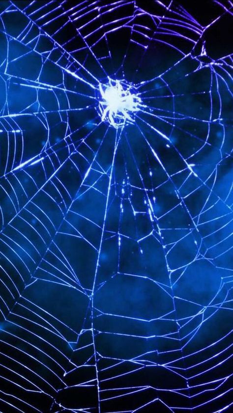 Spider Web Wallpaper, Web Wallpaper, Spiderman Spider, Spider Art, Man Wallpaper, Amazing Spider, Spider Verse, Homestuck, Blue Wallpapers