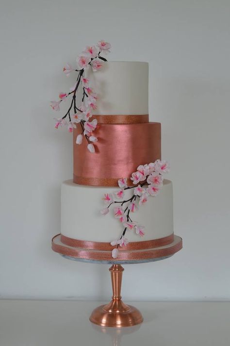 Cherry Blossom wedding cake with Rose Gold lustre. Blossom Wedding Cake, Cherry Blossom Wedding Cake, Cake With Cherry, Cherry Blossom Cake, Blossom Cake, Bridal Cake, Backyard Celebration, Blossom Wedding, Rosette Cake