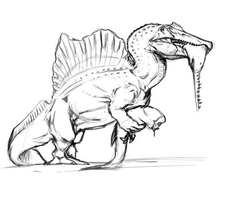 ArtStation - THE LAST THEROPOD - SPINOSAURUS Brachiosaurus Illustration, Spinosaurus Drawing, Spinosaurus Art, Velociraptor Drawing, Dino Drawing, Dinosaur Sketch, Cool Dinosaurs, Dinosaur Images, Military Drawings