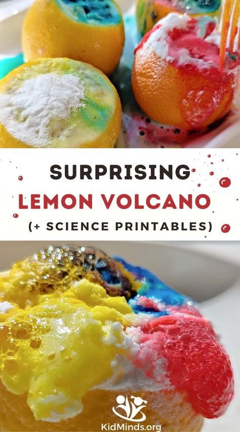 Lemon Volcano, Volcano Activities, Acids And Bases, About Chemistry, Volcano Experiment, Science Printables, Brain Gym, Chemical Reactions, Creative Learning