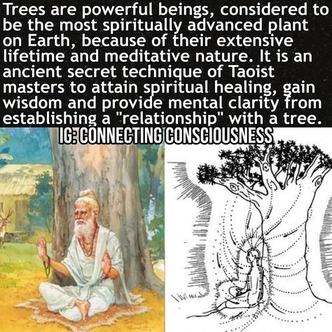 ⠀⠀ CONNECTING CONSCIOUSNESS on Instagram: “➡️ @connecting_consciousness ARE YOU A TREE HUGGER? Trees and Chi energy. Hugging a tree raises your vibrational frequency, this has been…” Hindu Knowledge, Chi Energy, Soul Growth, Divine Feminine Spirituality, Vibrational Frequency, Energy Healing Spirituality, Spiritual Coach, Ancient Knowledge, Knowledge And Wisdom