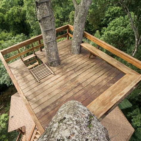 Tree House Deck, Deck Platform, Simple Tree House, Platform Outdoor, Tree Deck, Treehouse Masters, House View, Tree House Plans, Backyard Trees