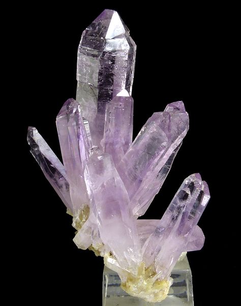 SpiriferMinerals.com - minerals specimens, mineral specimens, minerals collecting, high quality minerals, fluorite, tourmaline Amethyst Crystals, Gem Show, Mineral Collection, Amethyst Quartz, Gems And Minerals, Healing Powers, Amethyst Crystal, Mineral Specimen, Rocks And Crystals