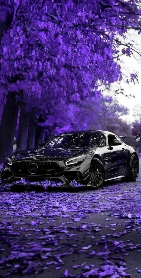 Kereta Sport, Cool Car Backgrounds, Mercedes Amg Gt R, Mercedes Benz Wallpaper, Mercedes Wallpaper, Dream Cars Mercedes, Sports Car Wallpaper, Car Backgrounds, Cool Car Pictures