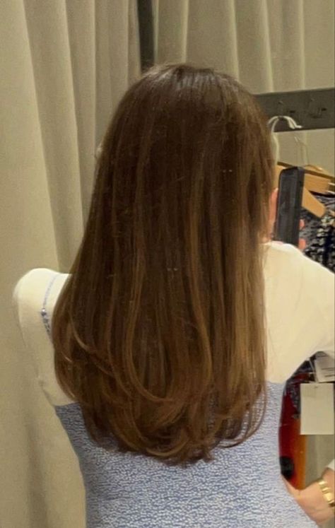 Long Blended Layers With Curtain Bangs, Hair Cuts Mid Length Straight, Haircut Inspiration Thick Hair, Haircuts Woman Long, Mild Layers Haircut, Medium Long Haircut Women, Medium Length Haircut For Thick Hair Straight Brown, Mid Length Hair With Light Layers, Mid Back Length Hair Straight