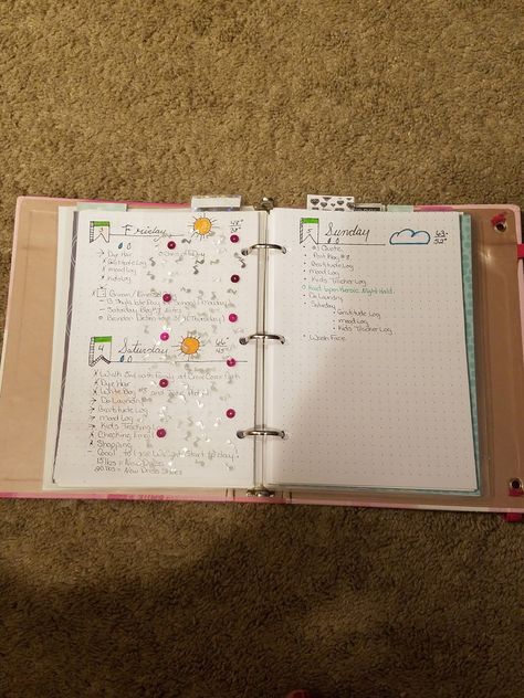 Today I am going to talk about bullet journal in a 3ring binder. When I started looking in to bullet journal I did not have any blank ... Bujo Ring Binder, 3 Ring Binder Journal Ideas, Binder Journal Ideas, 3 Ring Binder Planner, 3 Ring Binder Journal, Bullet Journal Binder, Ring Binder Journal, Ring Journal, Aesthetic Bujo