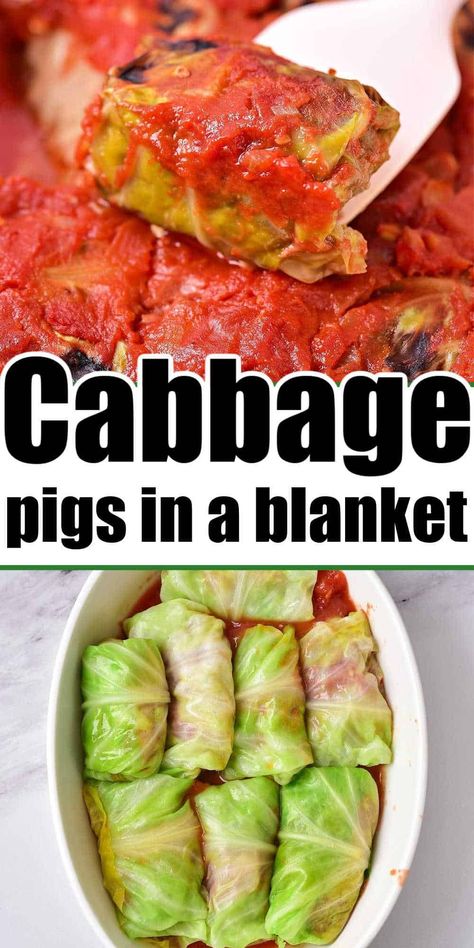 Pigs In A Blanket Recipe Cabbage, Pigs In The Blanket, Cabbage Stuffed, Pigs In A Blanket Recipe, Baked Cabbage, Chili Dip, German Foods, Cabbage Rolls Recipe, Healthy Vegetable Recipes