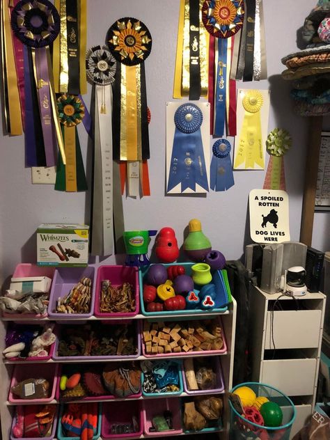 Dog Training Room Ideas, Dog Storage Ideas Organizations, Dog Things Organization, Dog Gear Storage, Service Dog Gear Organization, Dog Gear Organization, Dog Gear Wall, Service Dog Gear Wall, Dog Boarding Facility Organization