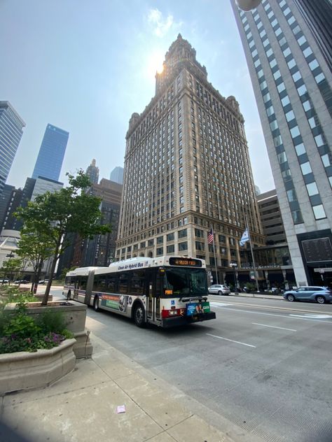 Chicago bus buildings architecture sun summer aesthetic blue colors photo photography Chicago Bus, Chicago Aesthetic, City Bus, Orange Line, Chicago City, Windy City, Bus Stop, Camera Roll, Chicago