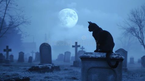 Black cat in a graveyard under the full moon at night. Concept of spooky, mystery, Halloween, eerie ambiance stock photography Cat In Cemetery, Full Moon Photography, Moon At Night, Blue Halloween, Pet Cemetery, Full Moon Night, Interesting Pictures, Moon Photography, Nancy Drew