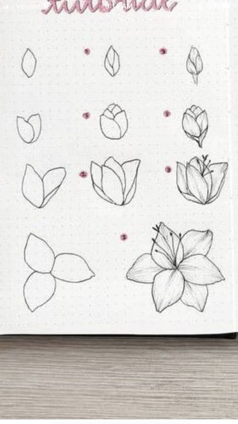 Trin For Trin Tegning, Flower Drawing Tutorials, Instagram Font, Flower Art Drawing, Drawing Flowers, Flower Sketches, Floral Drawing, Easy Doodle Art, Easy Drawings Sketches