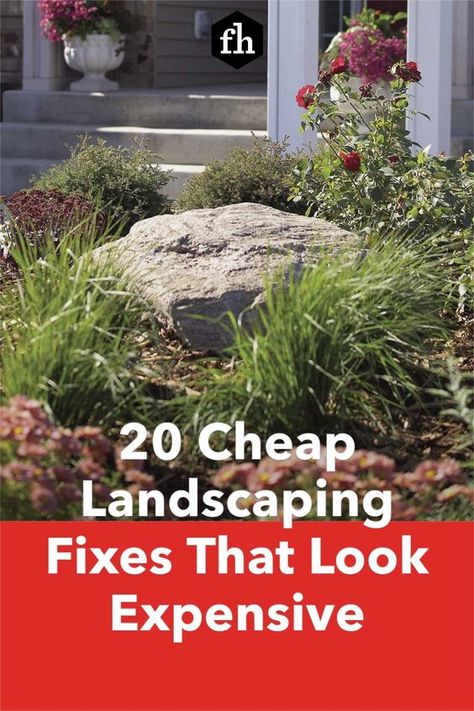 Cheap Landscaping, Front Yard, Landscaping, Yard, Plants, Flowers, Design