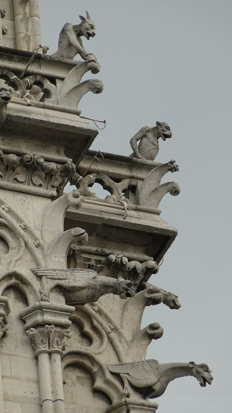 Gargoyles Protecting Notre Dame Gargoyles Aesthetic, Notre Dame Gargoyles, Gargoyles Art, Gothic Gargoyles, Gothic Statue, Architectural Sculpture, Gothic Cathedrals, Roman Architecture, Gothic Architecture