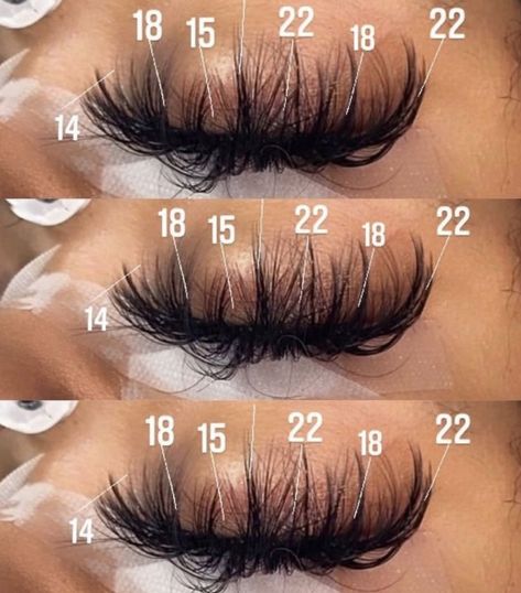 Eyelash Map, Lash Maps, Lash Trays, Lash Extentions, Best Lash Extensions, Maquillage On Fleek, Lashes Tutorial, Lashes Fake Eyelashes, Eyelash Tips