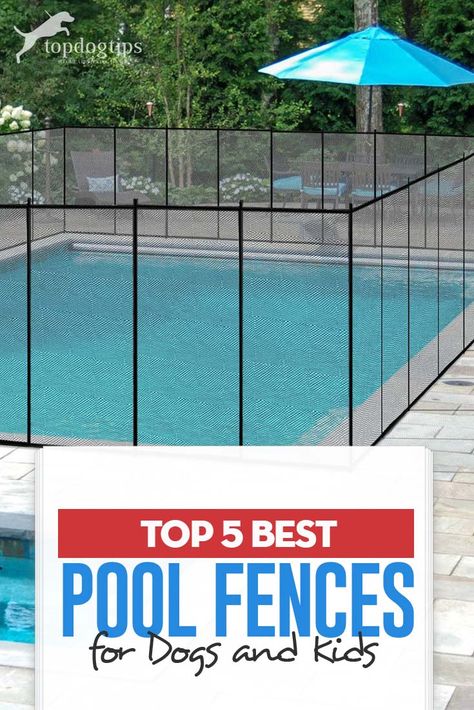 Fences For Dogs, Dog Pools, Pool Fences, Dog Pool, Dog Tips, Pool Fence, Dog Fence, Bad Dog, Dogs And Kids