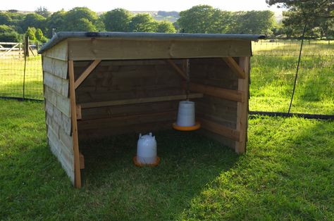 Chicken shelter Chicken Feeder Shelter, Diy Shade For Chickens, Diy Chicken Shelter, Chicken Rain Shelter, Chicken Shelter From Rain, Chicken Shelter Ideas, Hobbie Farm, Sheep Shelter, Chicken Shelter