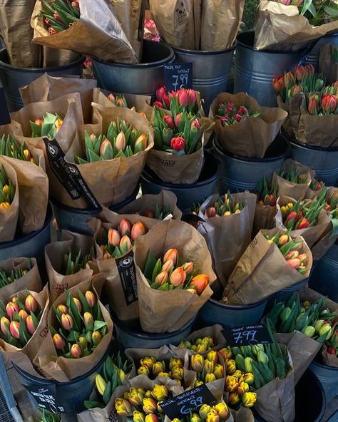 shopping 🌷 in Amsterdam Aesthetic Tulips, Amsterdam Aesthetic, Amsterdam Tulips, Flowers Black Background, Amsterdam Shopping, Teddy Bear Images, Girls Gift Guide, Snow Covered Trees, Flowers Bouquet Gift