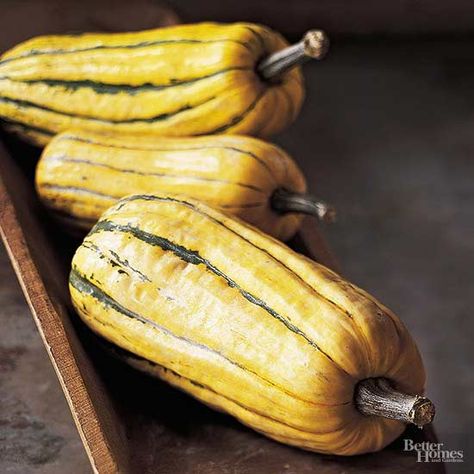 Delicate Squash, Delicata Squash Recipe, How To Cook Squash, Roasted Delicata Squash, Summer Zucchini, Squash Salad, Delicata Squash, Toasted Pumpkin Seeds, How To Roast