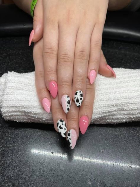 Rodeo Nails Westerns Almond, Coral Cow Print Nails, Colourful Cow Print Nails, Country Nails Design Pink, Brown And Pink Cow Print Nails, Pink Cow French Tip Nails, Maroon Cow Print Nails, Nails Inspiration Cow Print, Cow Nails Acrylic Almond