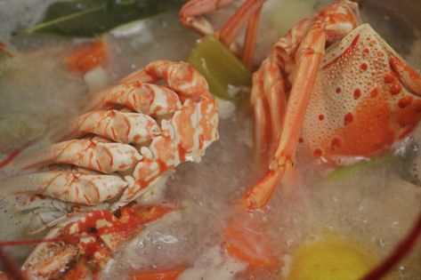 Lobster Stock From Shells, Leftover Lobster, Lobster Stock, Spiny Lobster, Stock Recipes, Stuffed Shells Recipe, The Lobster, Easy Soups, Yummy Yummy