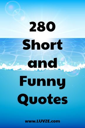 Are you looking for the best short and funny quotes? Look no further! Here is our huge list of quotes that can make you laugh. Funny Encouragement Quotes, Funny Encouragement, Silly Quotes, Funny Motivational Quotes, Mom Cut, Short Funny Quotes, Quotes Books, Shirt Quotes, Quotes Humor