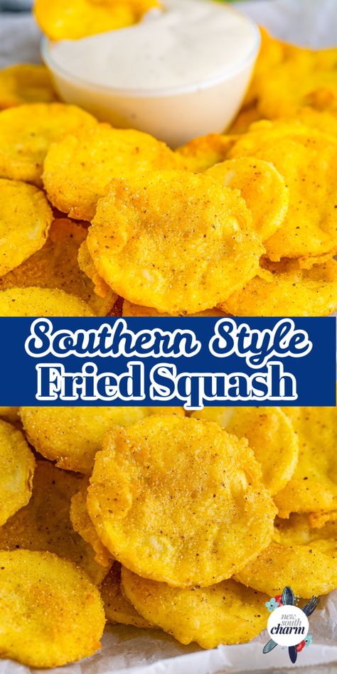 Easy Yellow Squash Recipes, Fried Squash Recipes, Fried Yellow Squash, Fried Squash, Squash Fries, Yellow Squash Recipes, Summer Squash Recipes, Squash Recipe, Summer Appetizer