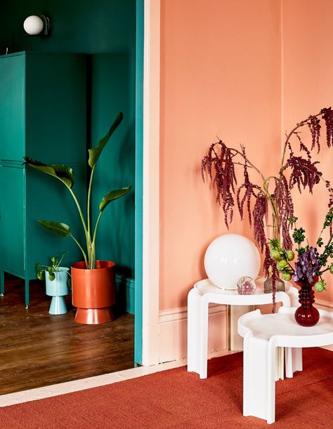 Peach Colour Interior, Bedroom With Peach Walls, Peach Complementary Colors, Peach Hallway, Peach Living Room Walls, Nursery Wall Color, Peach Living Room, True Grey Paint Color, Colourful Bathroom Ideas