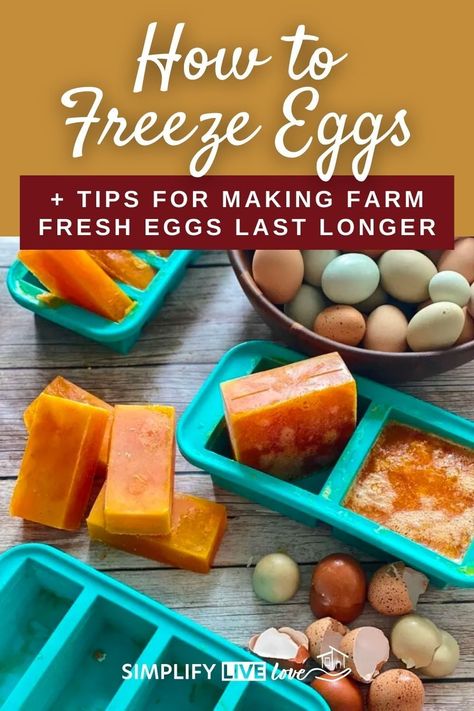 Do you know how to freeze eggs? Did you even know it’s possible to freeze eggs??? Yes! Yes, it is. If you have backyard chickens, you need these tips and tricks to make farm fresh eggs last longer so you won’t ever have to buy eggs at the store! If you have a modern homestead, chances are good that you're raising chickens. Which means that sometimes during the year you'll have an abundance of eggs, and then during molting you won't. This is normal. To preserve your eggs, try freezing them! How To Keep Eggs Fresh Longer, How To Sell Farm Fresh Eggs, Canning Fresh Farm Eggs, Storing Farm Fresh Eggs, How To Save Farm Fresh Eggs, Freezing Eggs, Garden Harvest, Farm Fresh Eggs, Freezer Cooking