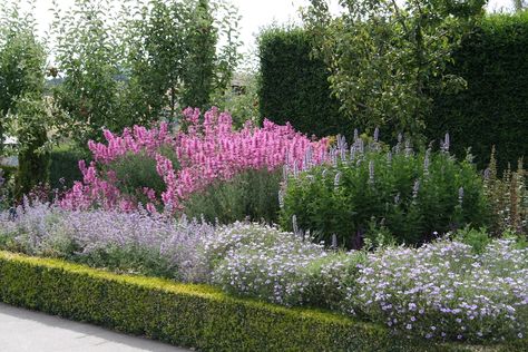 Planting Combinations, Garden Front Of House, Flower Garden Plans, Garden Hedges, Native Gardens, Australian Native Garden, Chelsea Garden, Country Gardens, Lawn Art