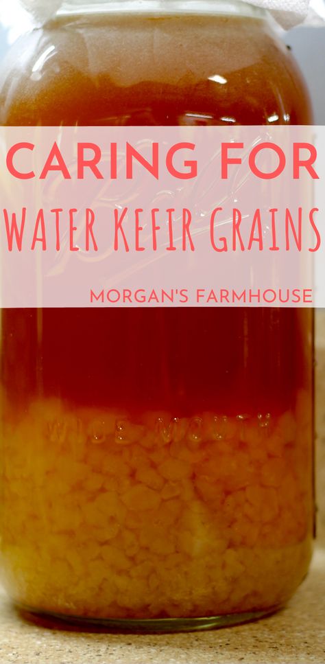 Water Kefir How To Make, Water Kefir Recipes, Jun Tea, Ancestral Eating, Kefir Water, Water Kefir Grains, Fermented Drinks, Cultured Food, Scratch Cooking