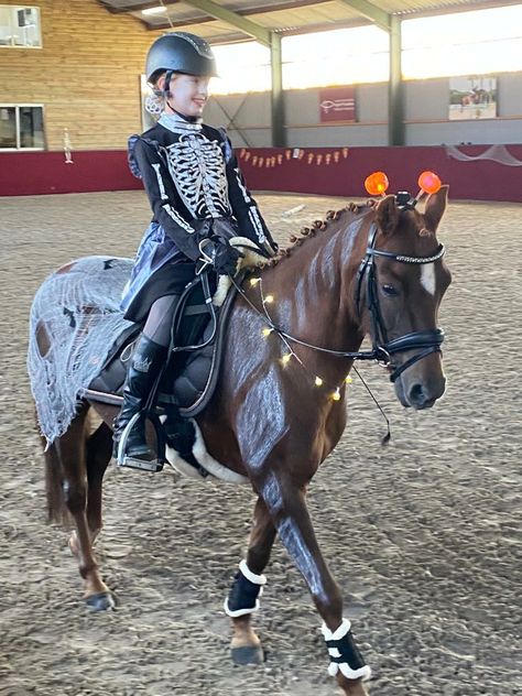 Halloween Costume For Horse, Equestrian Halloween Costumes, Horse Halloween Costumes Equestrian, Halloween Horse Costumes, Pony Halloween Costume, Horse Halloween Ideas, Horse Halloween Costumes, Halloween Horse, Hallowen Ideas