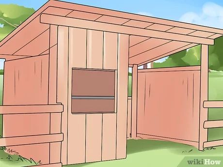 How to Care for a Miniature Horse (with Pictures) - wikiHow Miniature Pony Shelter, Mini Horse Shelter, Small Horse Barn Plans, Mini Horse Barn, Horse Stalls Diy, Miniature Horse Barn, Miniature Ponies, Small Barns, Loafing Shed