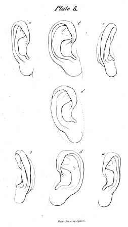 how to draw ears! ears are so hard, this is so helpful :) Ear Shapes, Learning Asl, How To Draw Ears, 얼굴 그리기, Hearing Loss, Anatomy Drawing, Serious Relationship, Art Instructions, Nature Tattoos