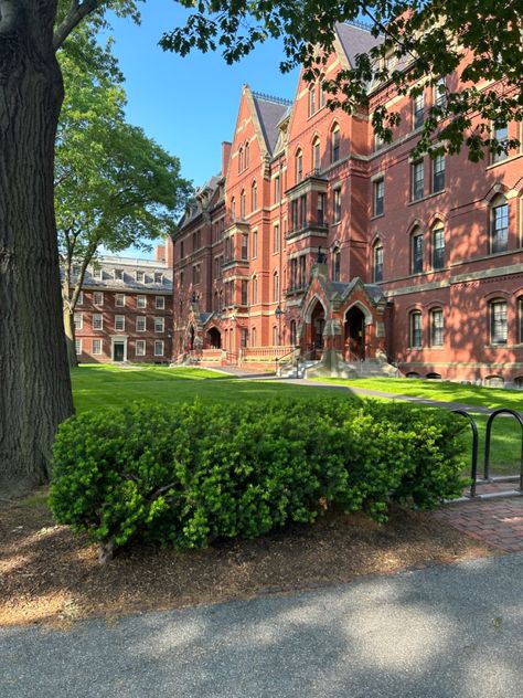 Harvard Girl Aesthetic, Harvard University Aesthetic, Picture Of A School, Lorelai Gilmore Aesthetic, Harvard Aesthetic, Harvard Uni, Gilmore Lorelai, Boston Cambridge, University Photography