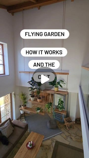 Cat Loft, Easy Going, Living Room Ideas, Planting, Room Ideas, Loft, It Works, Living Room, Quick Saves