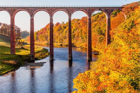 Scottish Country House, Trains Photography, Bridge Tattoo, Steam Trains Photography, Best Of Ireland, Scotland Art, Old Bridges, Scotland Vacation, Book Collage