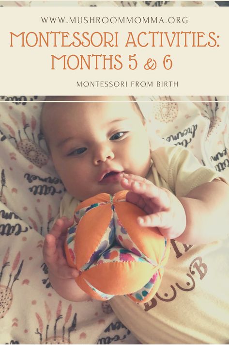 6 Months Montessori Activities, Montessori 5 Month Old, Four Month Old Activities, Activities 5 Month Old, Montessori 6 Month Old, 6 Month Baby Games, 5 Month Old Milestones, 6 Month Old Activities, Activities For 6 Month Old