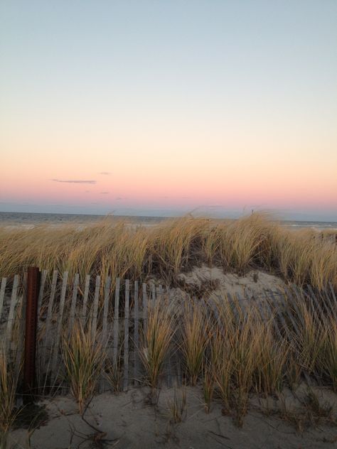 Sandy Neck Beach Cape Cod Sandy Neck Beach Cape Cod, Cape Cod, Beautiful Places, Cape, Collage, Pins