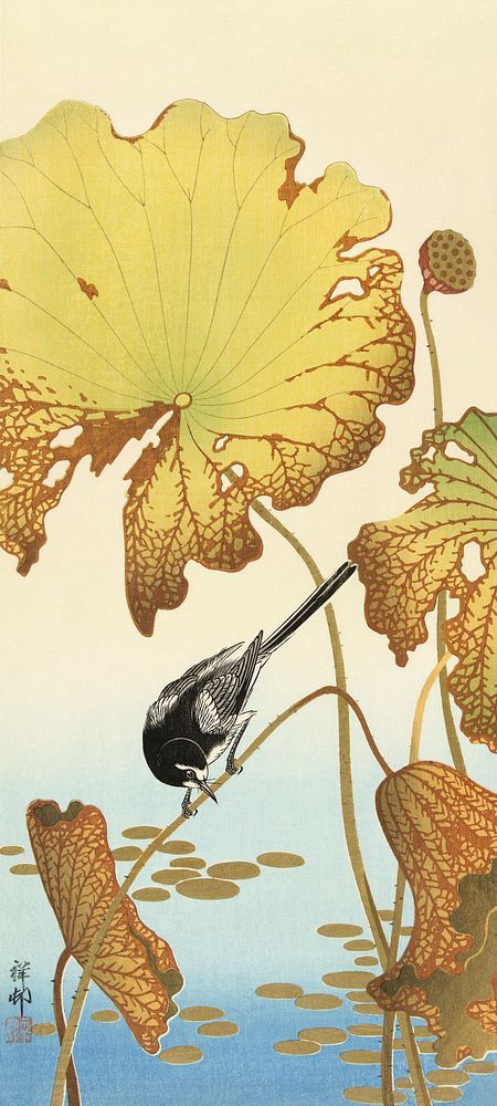 Japanese wagtail on lotus plant (1925 - 1936) by Ohara Koson (1877-1945). Original from The Rijksmuseum. Digitally enhanced by rawpixel. | free image by rawpixel.com / Rijksmuseum (Source) Lotus Plant, Japanese Bird, Ohara Koson, Free Illustration Images, Crane Bird, Ukiyo E, Japanese Woodblock Printing, Japanese Painting, Wildlife Nature