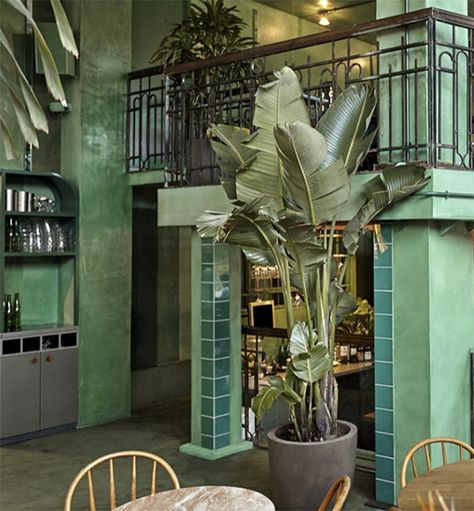 Fern Bar, Palm Fronds, Upstairs Bathrooms, Decorating Blogs, Fern, Outdoor Spaces, Amsterdam, Roof, Loft