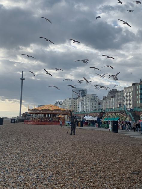 brighton england uk, aesthetic beach photo seagulls birds flying over beach, pretty rock beach england, instagram Uk Beach, Brighton England Aesthetic, Brighton Aesthetic, Beach England, British Beach Aesthetic, Brighton Beach Uk, London Beach, London Brighton, Brighton England