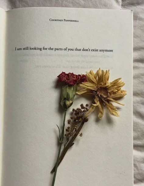 Dried Flowers Quotes, Poem Background, Good Energy Quotes, Flower Poetry, Poetic Quote, Unique Words Definitions, Best Positive Quotes, Energy Quotes, Dreamy Photography