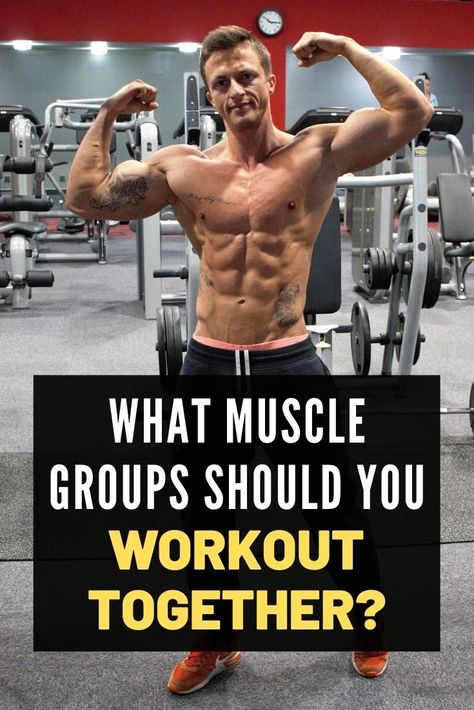 What Exercises Target What Muscles, Target Muscle Groups, Upper Body Muscle Groups, Opposing Muscle Groups Workout, Which Muscle Groups To Workout Together, Muscles To Workout Together, Weight Lifting Schedule For Fat Loss, What Muscle Groups To Work Together, Muscle Group Workout Schedule For Women