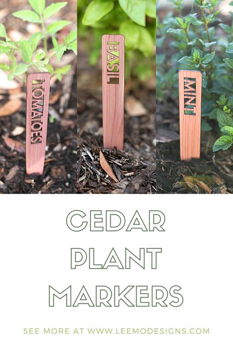 Wood Laser Engraving Machine, Cedar Plant, Cricut Vinyl Ideas, Glow Projects, Homemade Business, Plant Pot Design, Garden Labels, Woodburning Projects, Laser Cut Wood Crafts