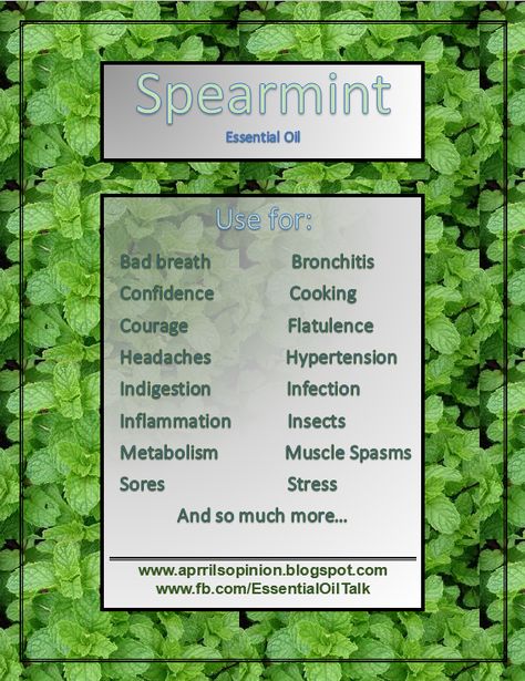 Spearmint Essential Oil Spearmint Tea Benefits, Headache Relief Essential Oils, Essential Oils For Pain, Essential Oils For Headaches, Spearmint Essential Oil, Essential Oils Health, Oil Diffuser Recipes, Herbal Healing, Essential Oil Benefits